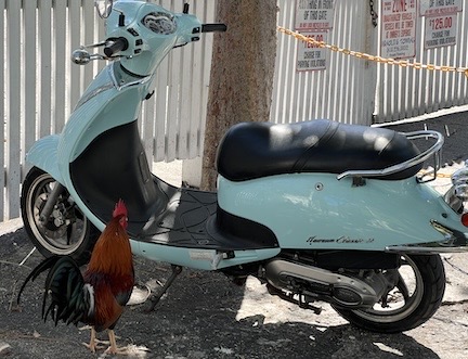 Rooster and Motorbike