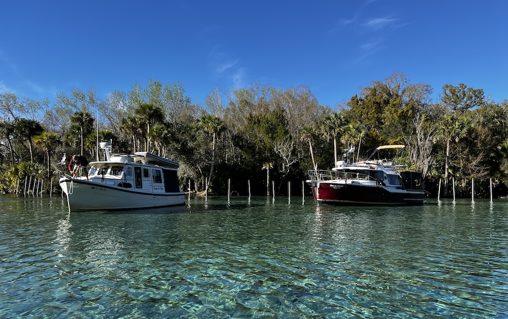 St Johns River Side Trip: Planning and Preparation