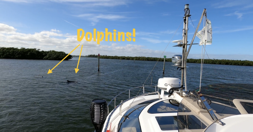 Video: Dolphins at Fort Pierce