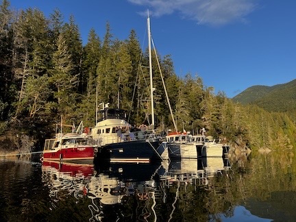 Flotilla at Anchor