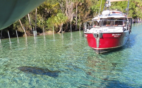 Anchored with Manatee